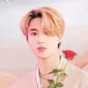 💓danethe💓 - @kimberlydanethe - TikTok