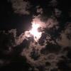 Kimberly Danforth - @kimberlydanforth_8198 - TikTok