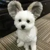 Niziare_yo_fav - @kimberlydarden - TikTok