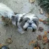 Denney Kimberly - @denney.kimberly - TikTok