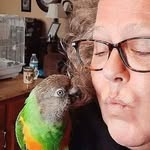 Kimberly Denney - @k2dive4 - Instagram