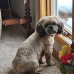 Kimberly Devries - Facebook
