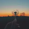 kimberlydewolf2 - @kim063707 - TikTok