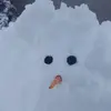 kimberlyduell3 - @kimberlyduell3 - TikTok