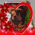 Kimberly Earls - Facebook