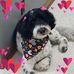 Kimberly Trent Eberhardt - Facebook