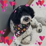 Kimberly Trent Eberhardt - @ebbyhardt - Instagram