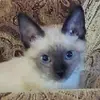 Kimberly Eberhart15 - @kimberly.elise - TikTok
