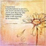 Kimberly Cracraft Fenner - @fennerkimberly - Instagram