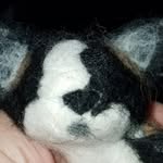 Kimberly Fix - @greendragonfelties - Instagram