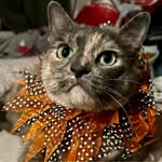 Kimberly Freer-Blackwell - @kbwell13 - Instagram