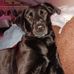 Kimberly Gilbert - Facebook
