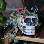 Kimberly DeRubis Gilson - @kemder - Instagram