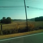 shyshy - @kimberly_greeson_1234 - Instagram