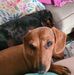 Kimberly Gresham Jackson - Facebook