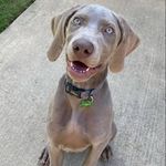 Kimberly Guess Gunter - @guessgunter - Instagram
