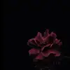 kimberlyfr.iguess - @kimberlyfr.iguess - TikTok