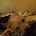 Kimberly Hozlock - Facebook