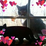 Kimberly Harrelson - @kimberly.harrelson.58 - Instagram