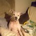 Kimberly Harrelson - Facebook
