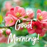 Kimberly Appleby Hass - @usa_kimberly - Instagram