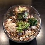 Kimberly Showalter Oberhelman - @kimberlyshowalteroberhelman - Instagram