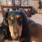 Kimberly Holes - Facebook