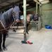 Kim Holst - Facebook