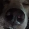 Kimberly Holstein - @kimberlyholstein6867 - TikTok