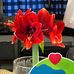 Kimberly Honaker - Facebook