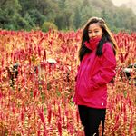 Kimberly Hoong - @kimmiehoong - Instagram