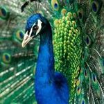 Kimberly D. Hulsey - @hulseykimberly - Instagram