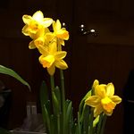 Kimberly InGold-Haenel - @kimmyingold - Instagram