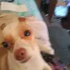 Kimberly Jaycox - @kimberlyjaycox - TikTok