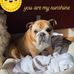 Kimberly Jaffe - Facebook