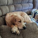 Kimberly Jasper - @kimberly.jasper.9 - Instagram