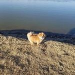 Kimberly Keesee - @kimberly.keesee.5 - Instagram