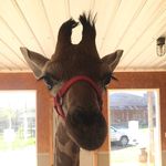 Kimberly Sessoms Kehoe - @kskehoe29 - Instagram
