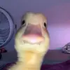 Kimberly..si...mekiere - @kimberly..si...mekiere - TikTok