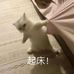 Kimber Ly - Facebook
