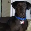 kimberlykrakat - @kimberlykrakat - TikTok
