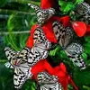 Kimberly Landes - @kimberly.landes - TikTok