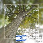 Kimberly Lapp - @kimberly_lapp4 - Instagram