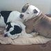 Kim Duggin Largent - Facebook