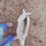 Kimberly Largent - @kimberly_largent - Instagram