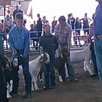 Kimberly largent - @kimberly.largent - Instagram