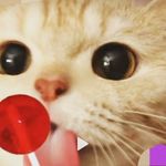 Kimberly Limon - @lm8947637 - Instagram
