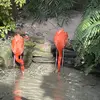 Kim Lodge - @kimlodge - TikTok