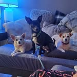 Kimberly Lodge Welnhofer - @badassbabe72 - Instagram