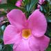 Kim Mather - Facebook